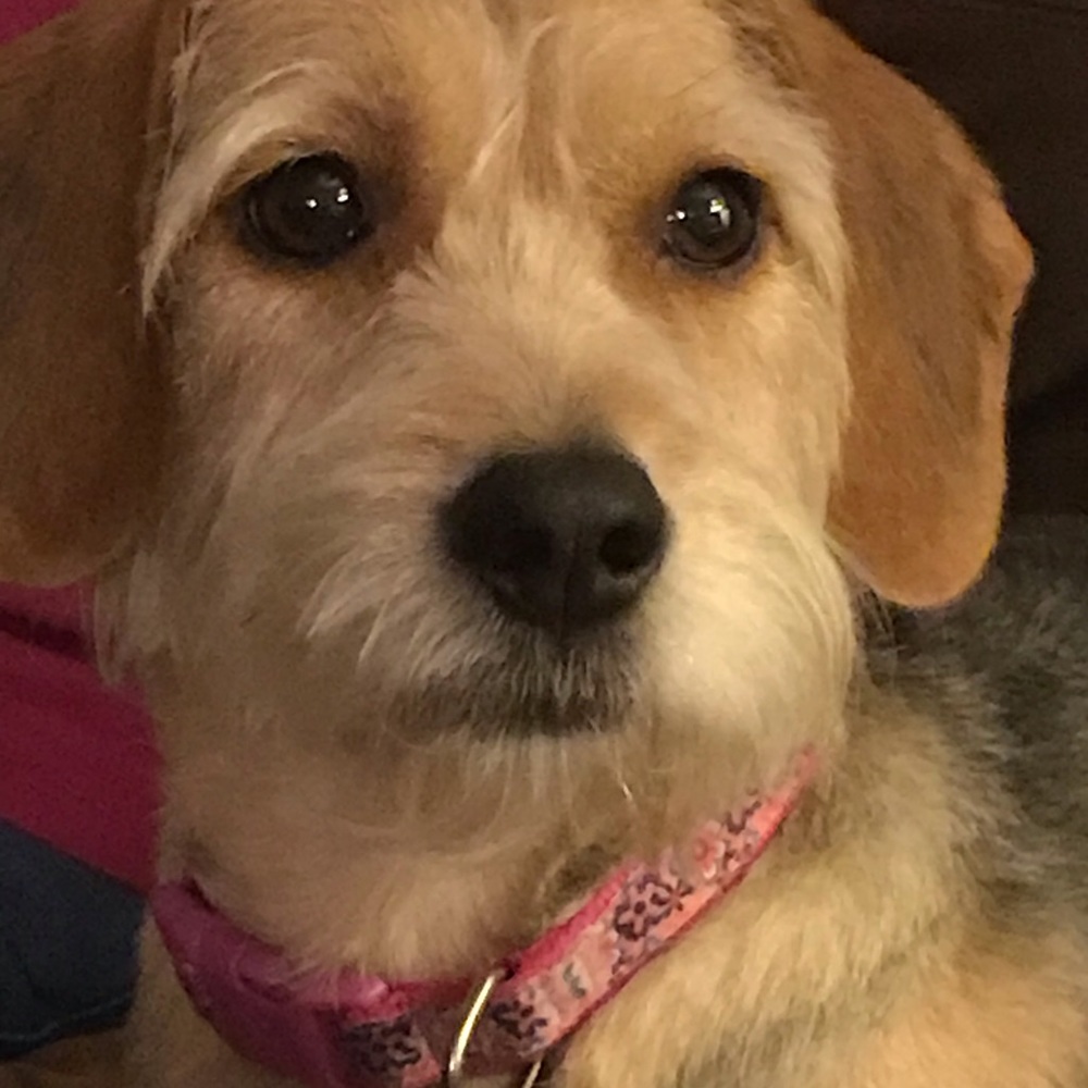 Meet your Posher, Dianna